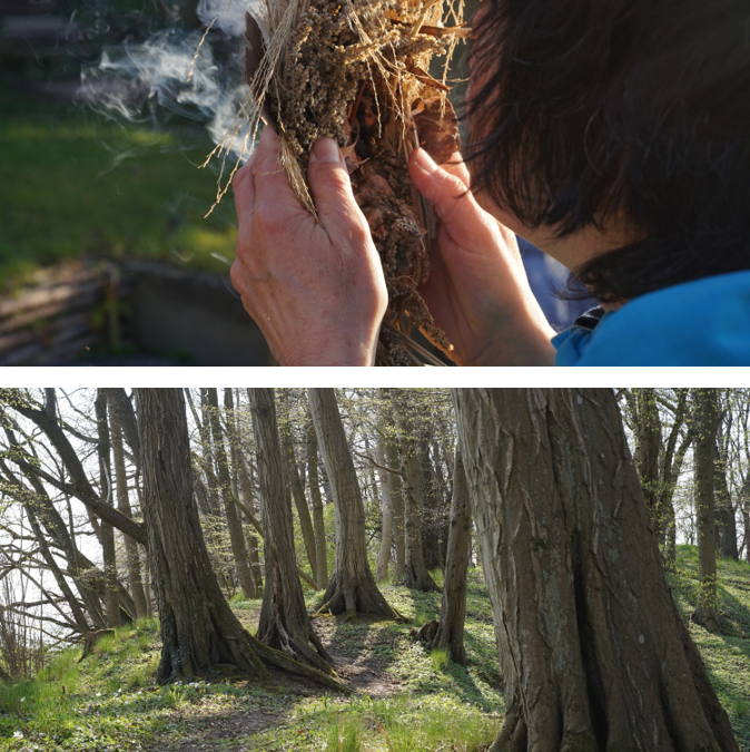 Outdoor-Survival-Kurs für Frauen*