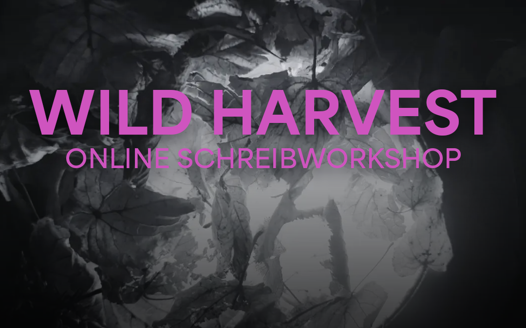 Wild Harvest – Online Schreibworkshop für FLINTA*
