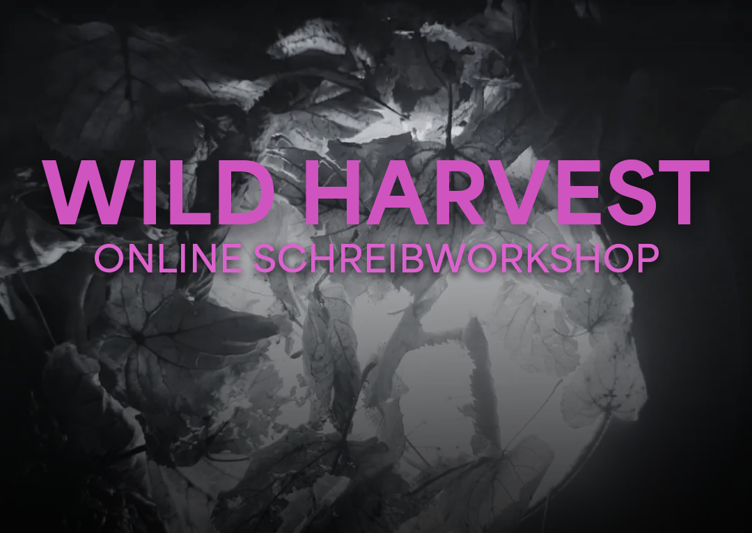 Web_Veranstaltung_WildHarvest